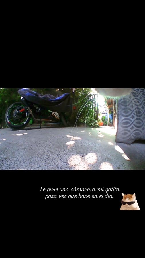 Photo client du produit