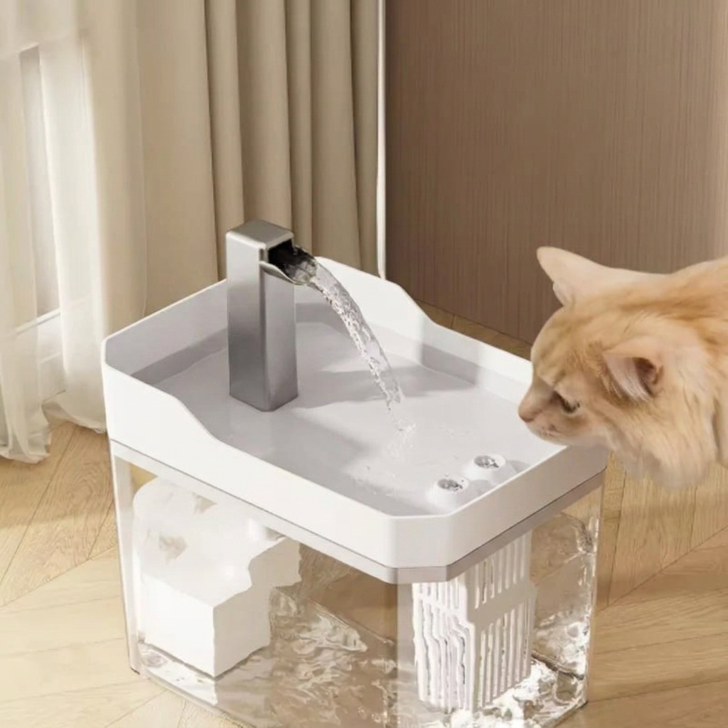 Chat buvant au filet d'eau d'une fontaine Felinéo Cascade